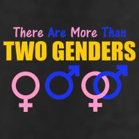 There Are More Than Two Genders Gender Signs Adult Drive Performance Visor