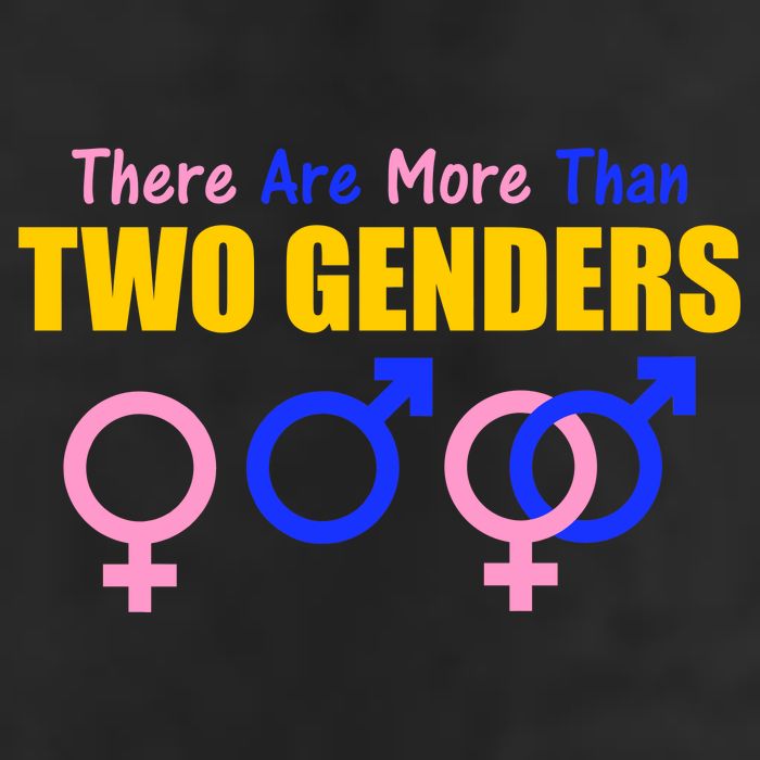 There Are More Than Two Genders Gender Signs Adult Drive Performance Visor