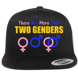 There Are More Than Two Genders Gender Signs Flat Bill Trucker Hat