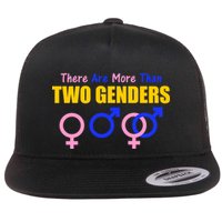 There Are More Than Two Genders Gender Signs Flatbill Hat