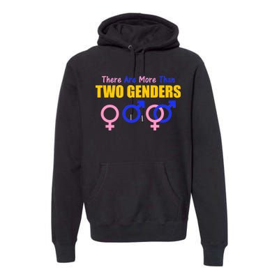 There Are More Than Two Genders Gender Signs Premium Hoodie