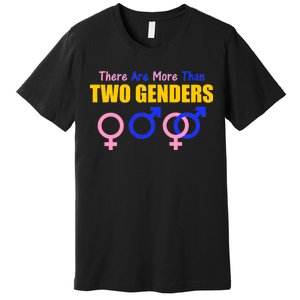 There Are More Than Two Genders Gender Signs Premium T-Shirt