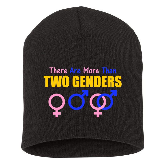 There Are More Than Two Genders Gender Signs Short Acrylic Beanie