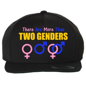 There Are More Than Two Genders Gender Signs Wool Snapback Cap