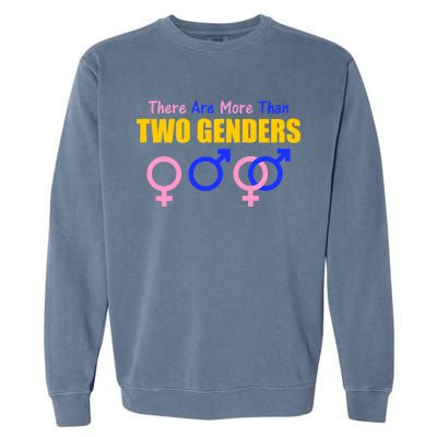 There Are More Than Two Genders Gender Signs Garment-Dyed Sweatshirt