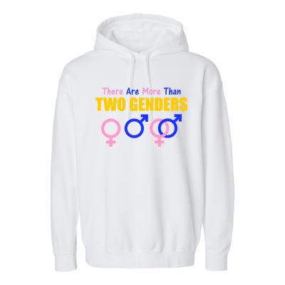 There Are More Than Two Genders Gender Signs Garment-Dyed Fleece Hoodie