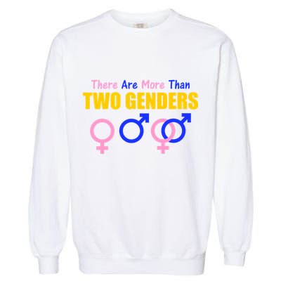 There Are More Than Two Genders Gender Signs Garment-Dyed Sweatshirt