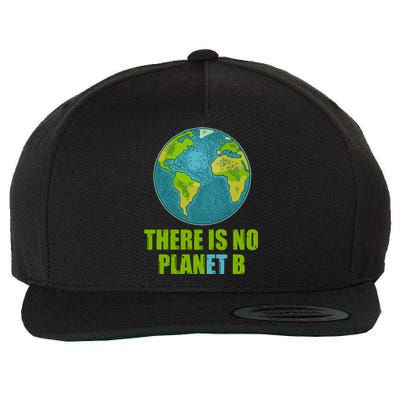 There is No Plan B Celebrate Earth Day Wool Snapback Cap