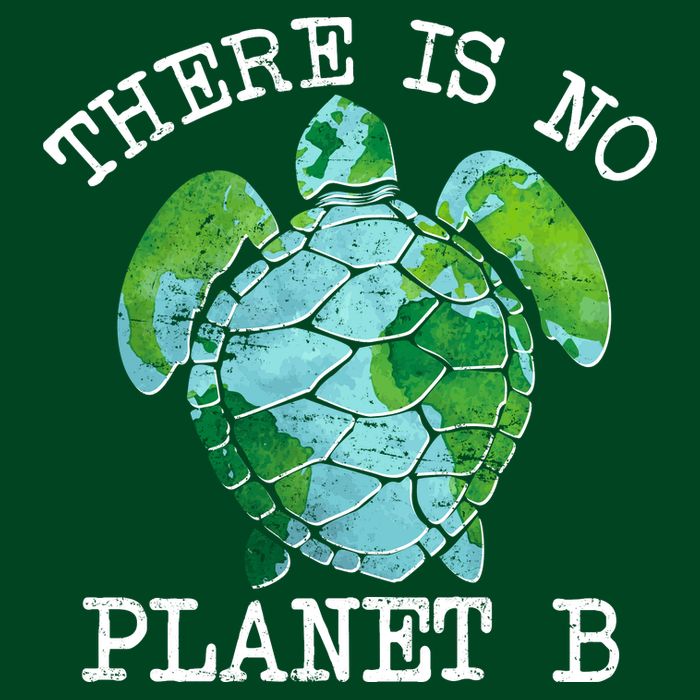 There is No Planet B Earth Button