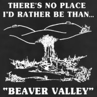 There's No Place I'd Rather Be Than Beaver Valley Tumbler