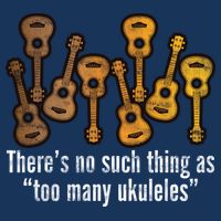 There's No Such Things As To Many Ukuleles Premium T-Shirt