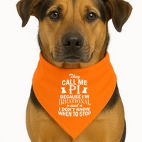 They Call Me PI Because I'm Irrational USA-Made Doggie Bandana