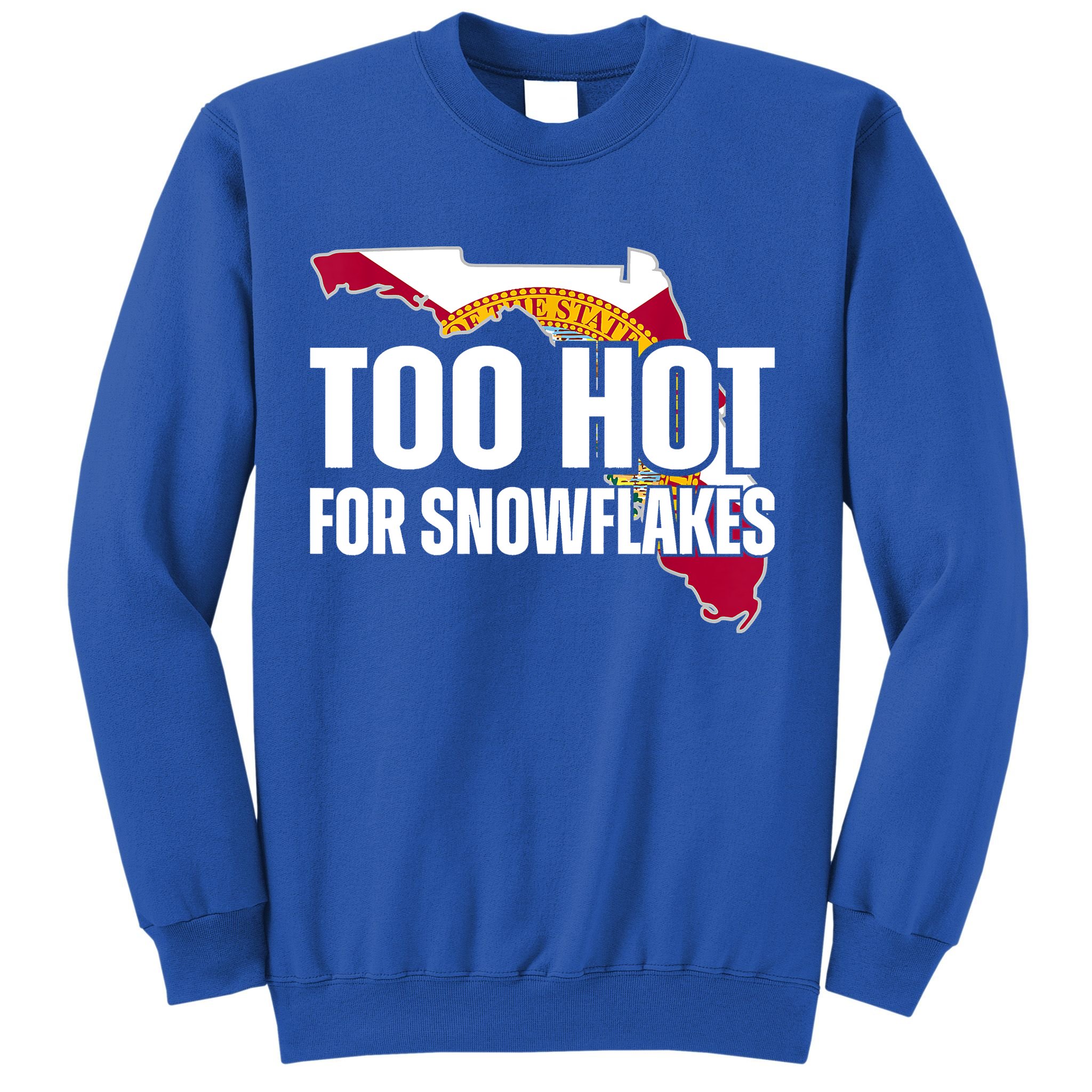 Too Hot For Snowflakes Florida Flag Map State Funny Saying Sweatshirt