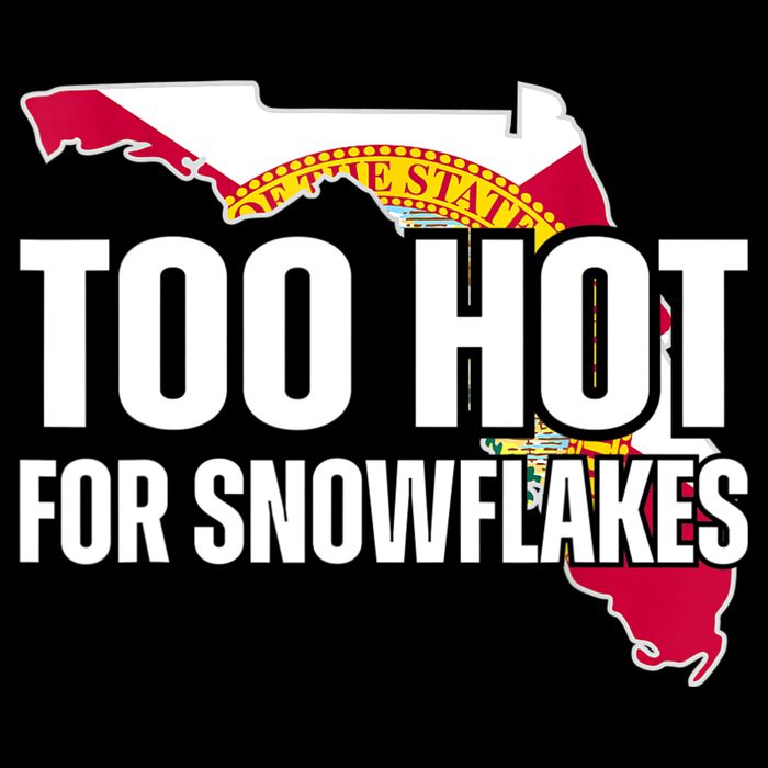 Too Hot For Snowflakes Florida Flag Map State Funny Saying Sweatshirt
