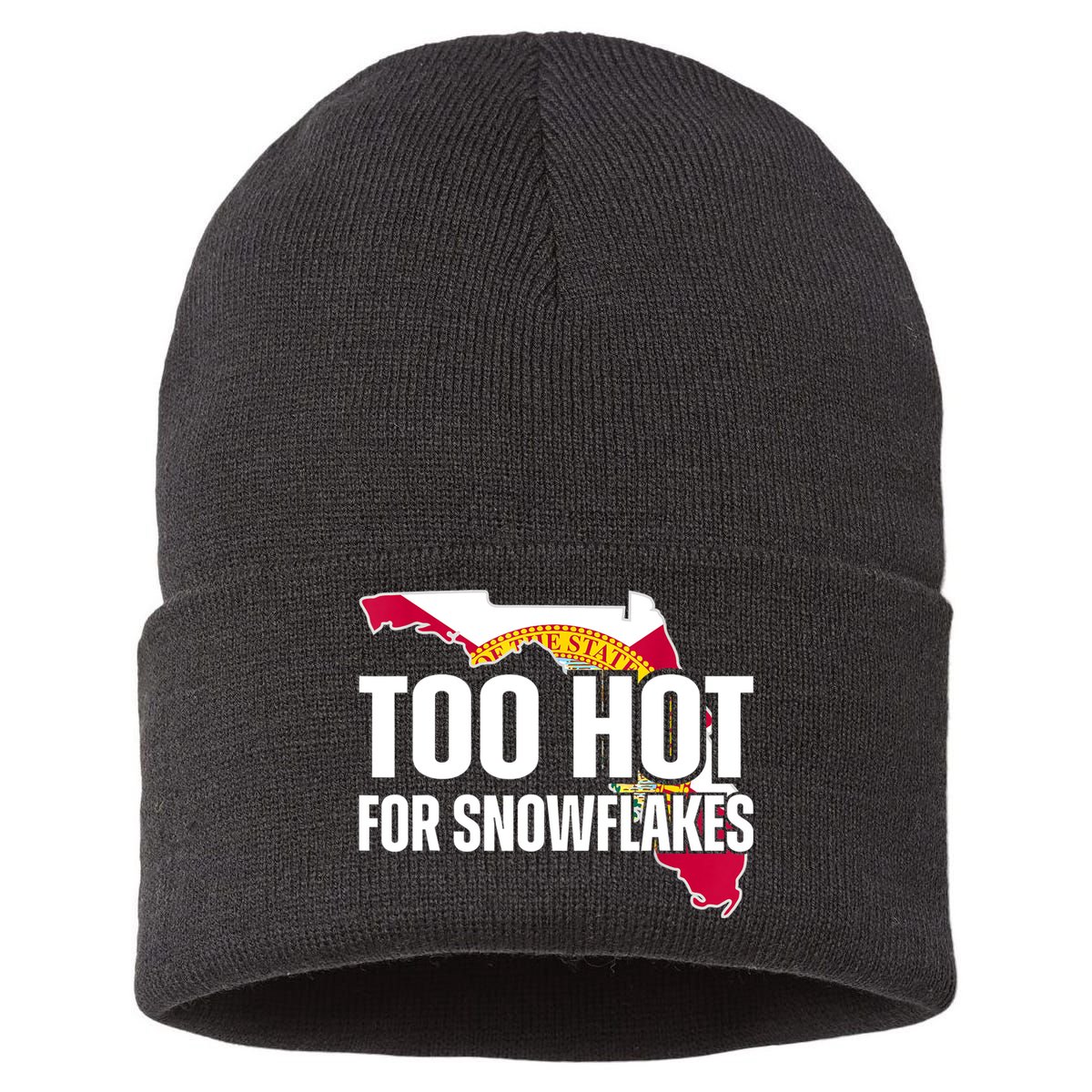 Too Hot For Snowflakes Florida Flag Map State Funny Saying Sustainable Knit Beanie