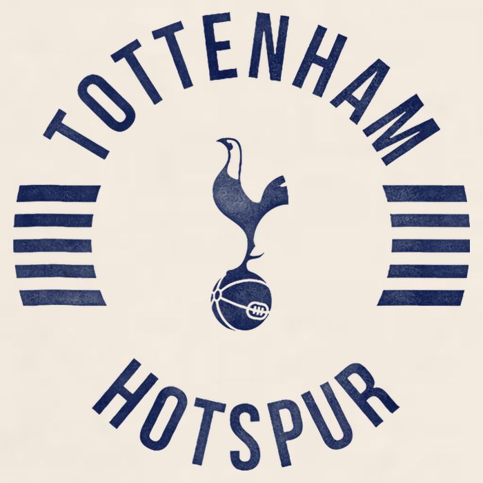 Tottenham Hotspur Football Club Collegiate Faded Garment-Dyed Women's Muscle Tee