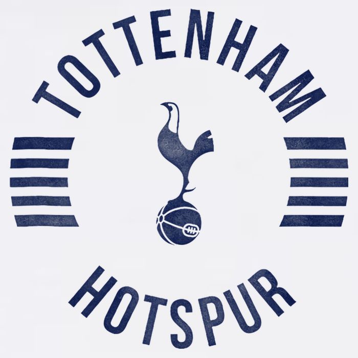 Tottenham Hotspur Football Club Collegiate Faded T-Shirt