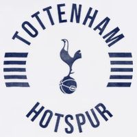 Tottenham Hotspur Football Club Collegiate Faded Tall T-Shirt