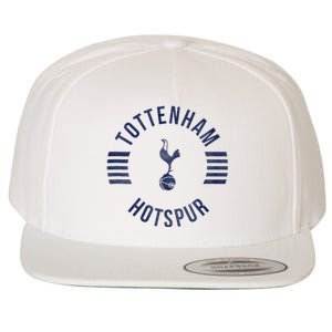 Tottenham Hotspur Football Club Collegiate Faded Wool Snapback Cap