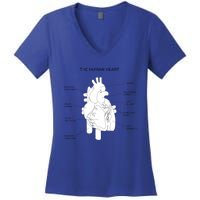 The Hu Heart Anatomy Gift Women's V-Neck T-Shirt