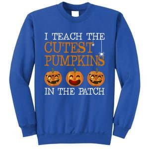 Teacher Halloween I Teach The Cutest Pumpkins In The Patch Cool Gift Sweatshirt