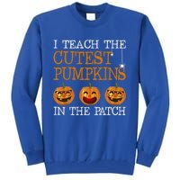 Teacher Halloween I Teach The Cutest Pumpkins In The Patch Cool Gift Tall Sweatshirt