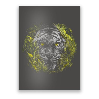 Tiger Hiding In The Grass Poster