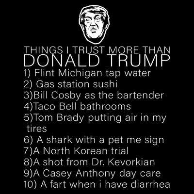 Things I Trust More Than Donald Trump T-Shirt