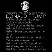 Things I Trust More Than Donald Trump Kids Hoodie