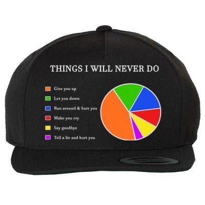 Things I Will Never Do Funny Wool Snapback Cap