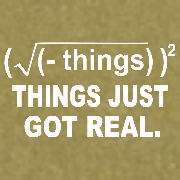 Things Just Got Real Funny Math Garment-Dyed Women's Muscle Tee