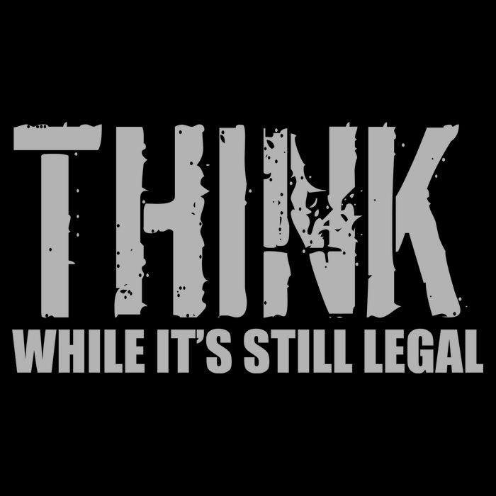 Think While It Is Still Leagal Toddler Hoodie