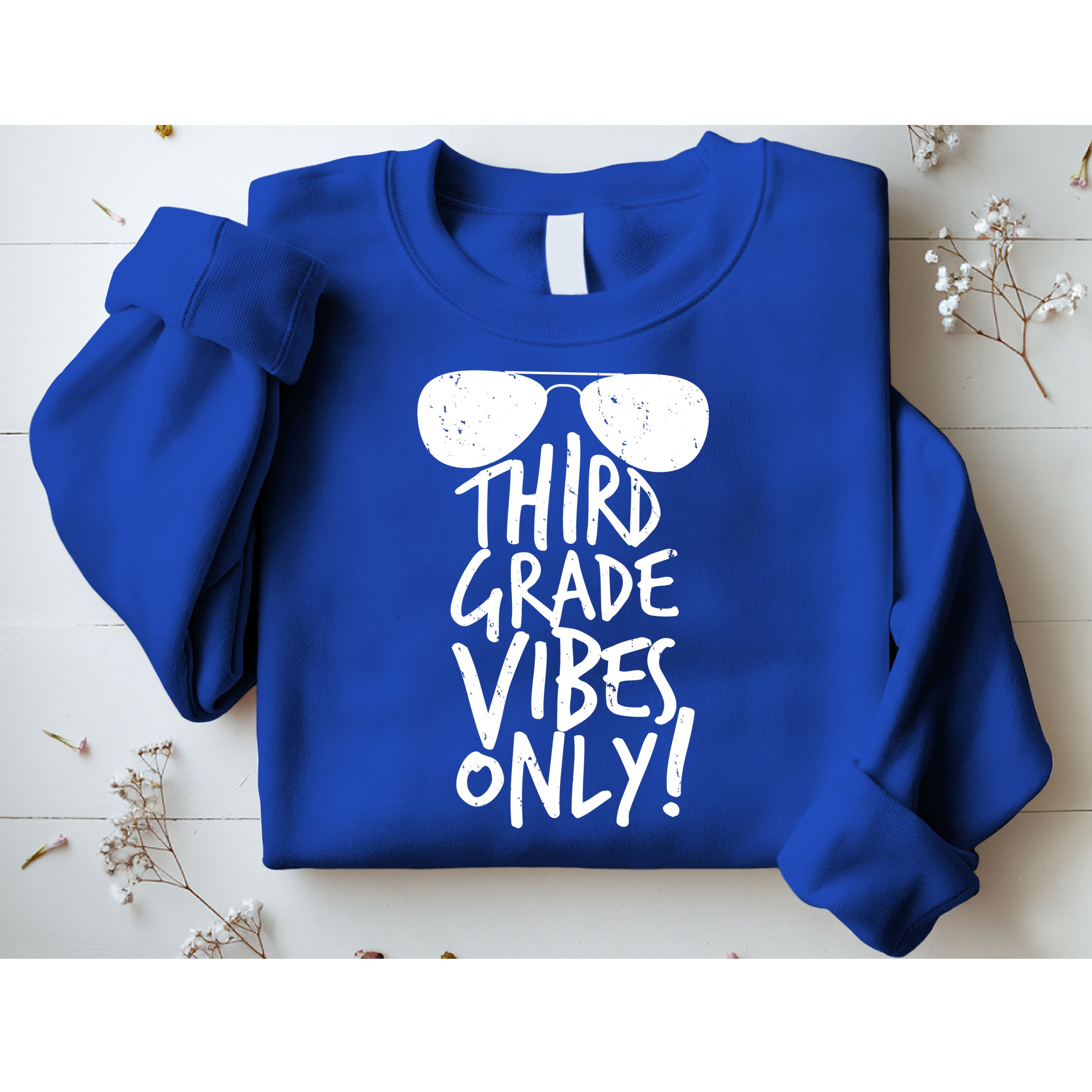 Third Grade Vibes Only Sweatshirt