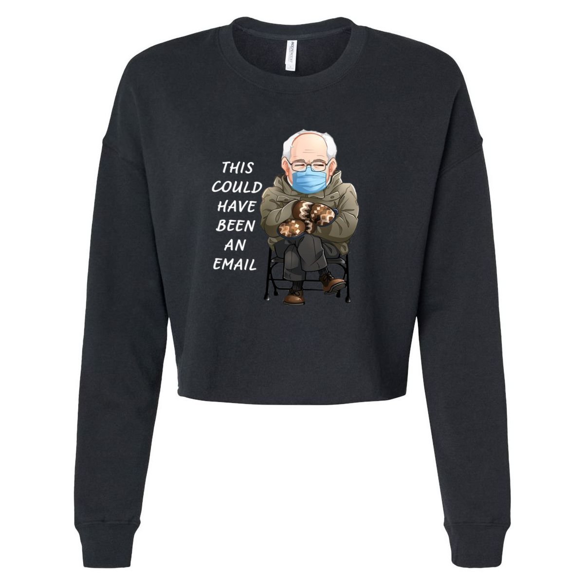 This Could Have Been An Email Bernie Sanders Apron