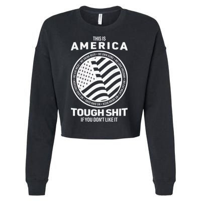 This Is America Cropped Pullover Crew
