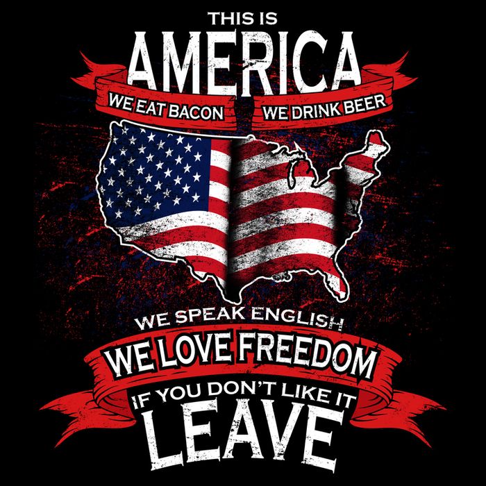 This Is America If You Don't like It Leave Women's V-Neck T-Shirt
