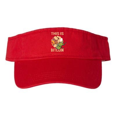 This Is Bitcoin Visor