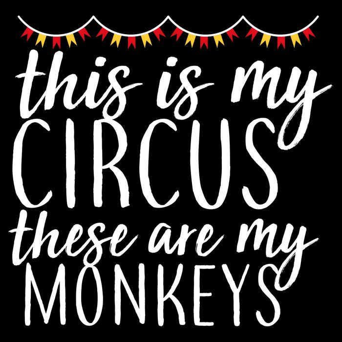 This Is My Circus These Are My Monkeys  7-Panel Snapback Hat