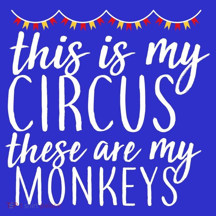 This Is My Circus These Are My Monkeys  Pom Pom 12in Knit Beanie