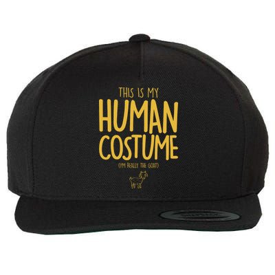 This Is My Human Costume  I'm Really a Goat Wool Snapback Cap