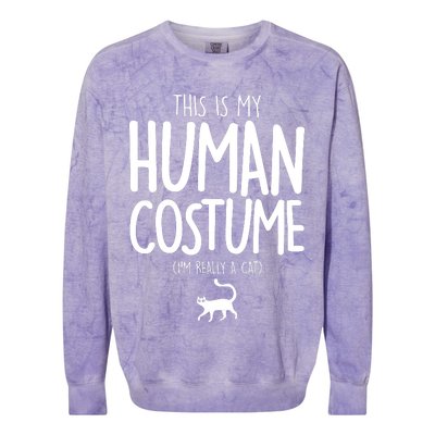 This Is My Human Costume I'm Really a Cat Colorblast Crewneck Sweatshirt