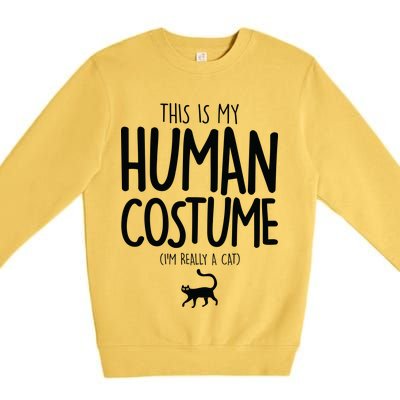 This Is My Human Costume I'm Really a Cat Premium Crewneck Sweatshirt