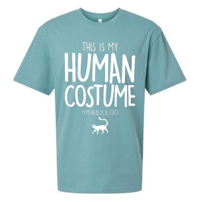 This Is My Human Costume I'm Really a Cat Sueded Cloud Jersey T-Shirt