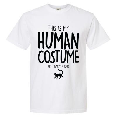 This Is My Human Costume I'm Really a Cat Garment-Dyed Heavyweight T-Shirt