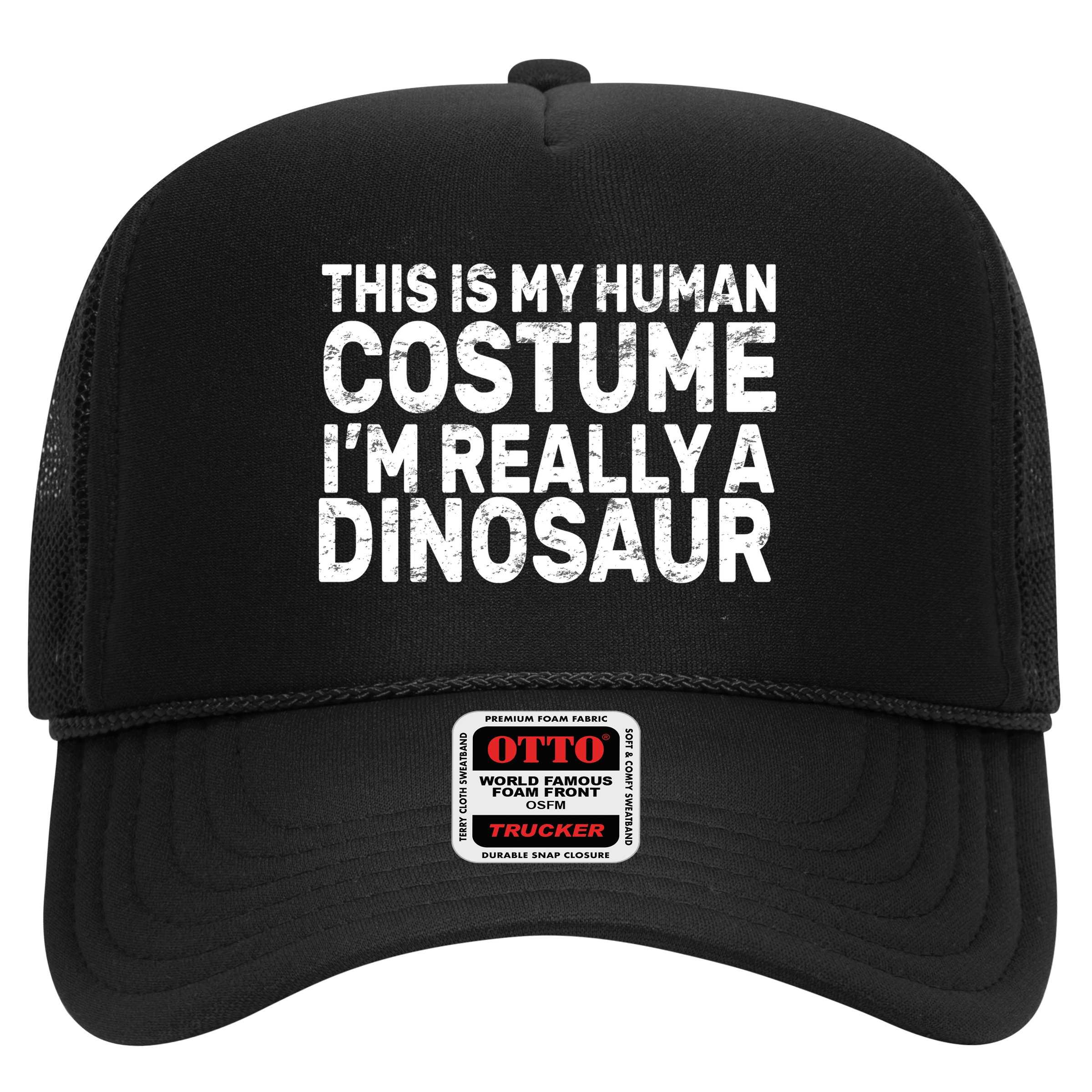 This Is My Human Costume I'm Really a Dinosaur Hat