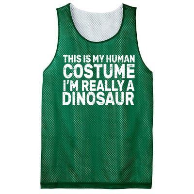 This Is My Human Costume I'm Really a Dinosaur Mesh Reversible Basketball Jersey Tank