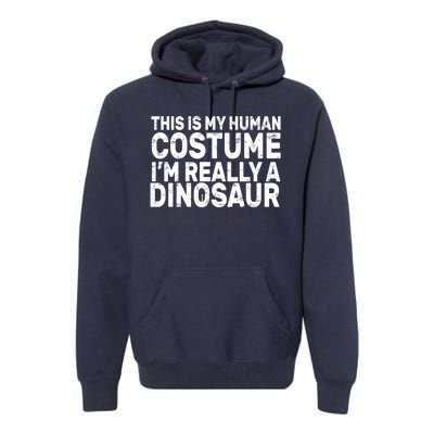 This Is My Human Costume I'm Really a Dinosaur Premium Hoodie