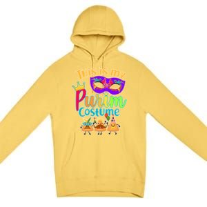 This Is My Purim Costume Premium Pullover Hoodie