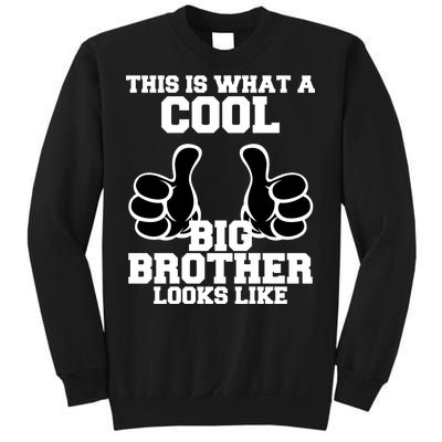 This Is What A Cool Big Bro Looks Like Sweatshirt