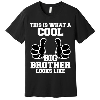This Is What A Cool Big Bro Looks Like Premium T-Shirt